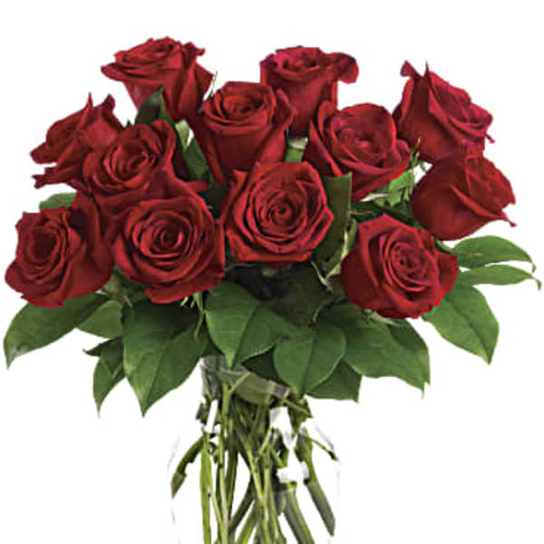 Enduring Passion - 12 Red Roses