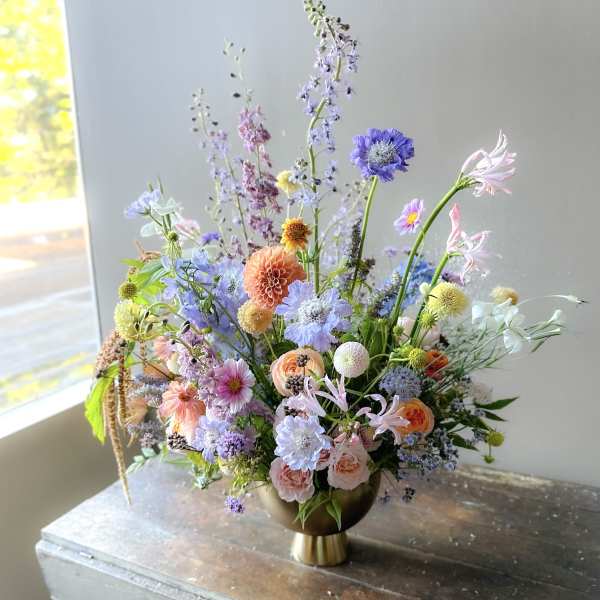 Esla (Gallery Photo)