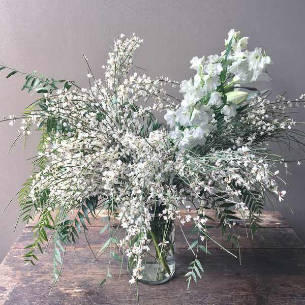 Eira (Gallery Photo)