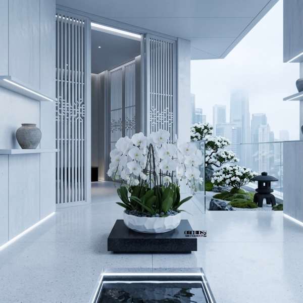 White Phalaenopsis Orchids – Elegant Maison Design