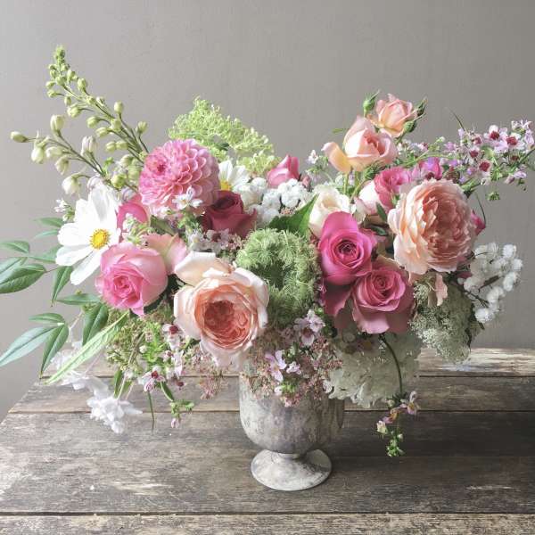 Renée (Gallery Photo)