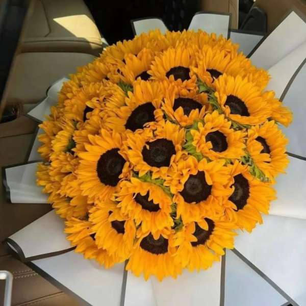 Round bouquet of bright yellow sunflowers wrapped in white paper