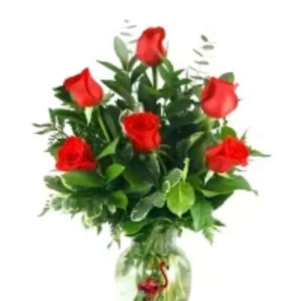 1/2 DOZEN RED ROSES