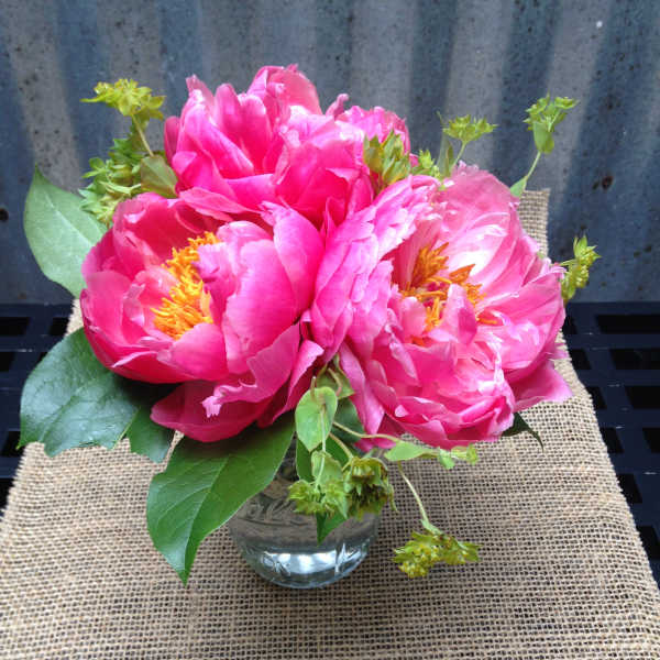 Pink peony bouquet in a clear glass vase