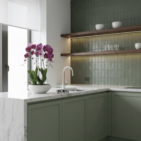 Purple Phalaenopsis Orchid – Upscale Interior Accent