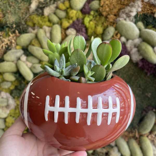 Football Planter