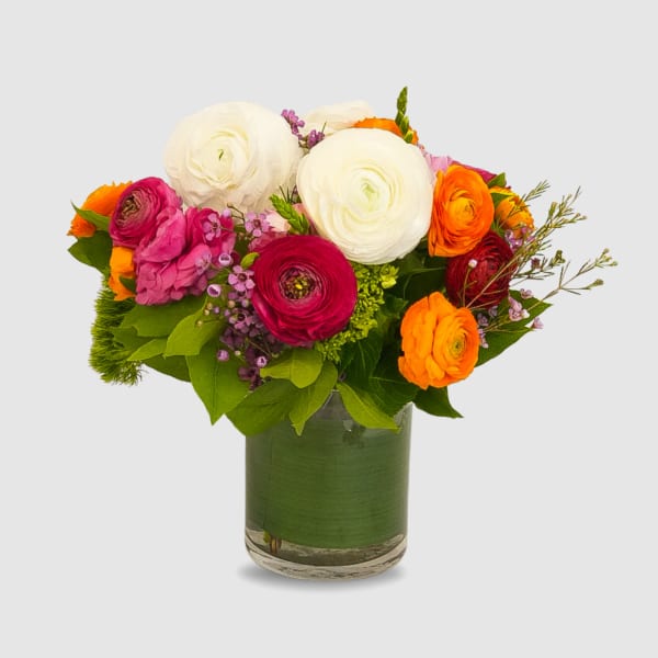 Colorful bouquet of ranunculus in a glass vase