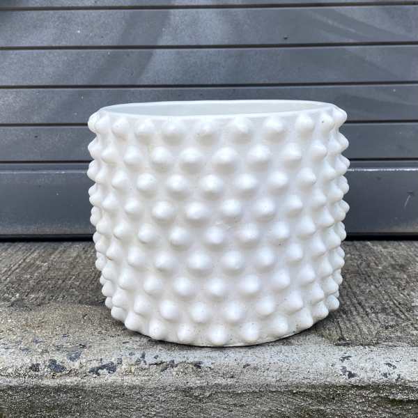 White textured ceramic planter pot on a concrete step