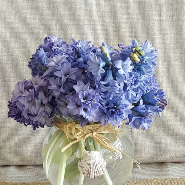 Round glass vase of purple and lavender hyacinths tied with raffia and a seashell accent