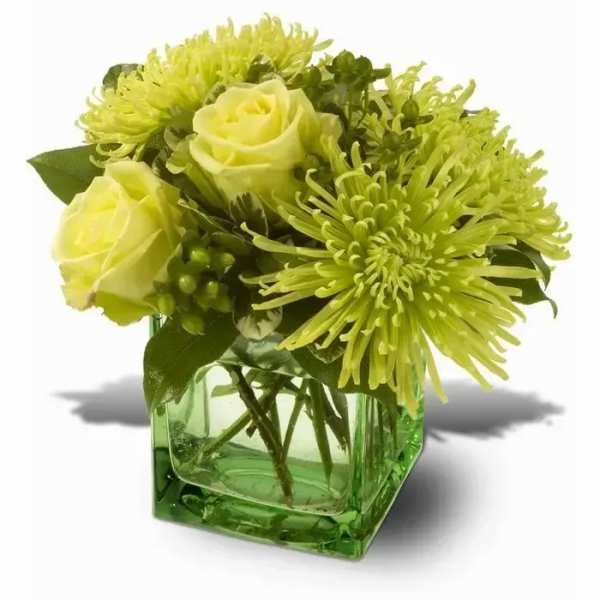 Compact lime-green roses and spider mums in a green glass cube vase