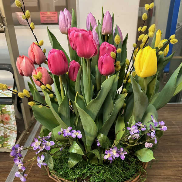 Assorted Bulb Plant Basket