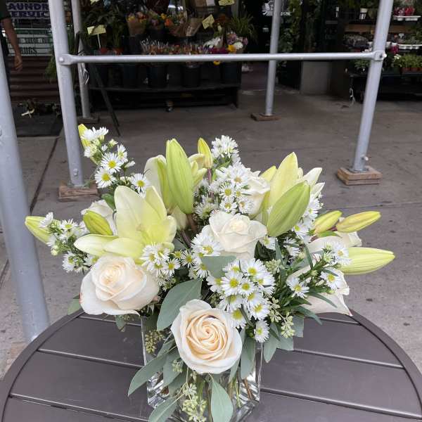 white wonders arrangement
