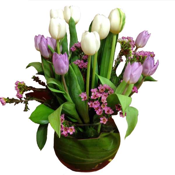 White and lavender tulips arranged in a green vase with small pink filler flowers