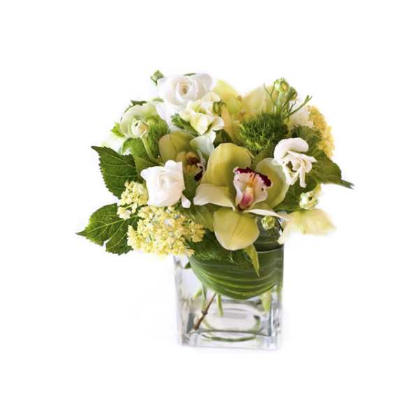 Compact arrangement of green orchids and white roses in a clear glass cube vase.