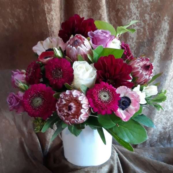 Sophisticated Beauty I