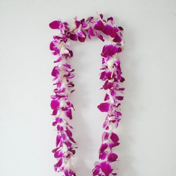 Purple and white orchid lei on a plain white background