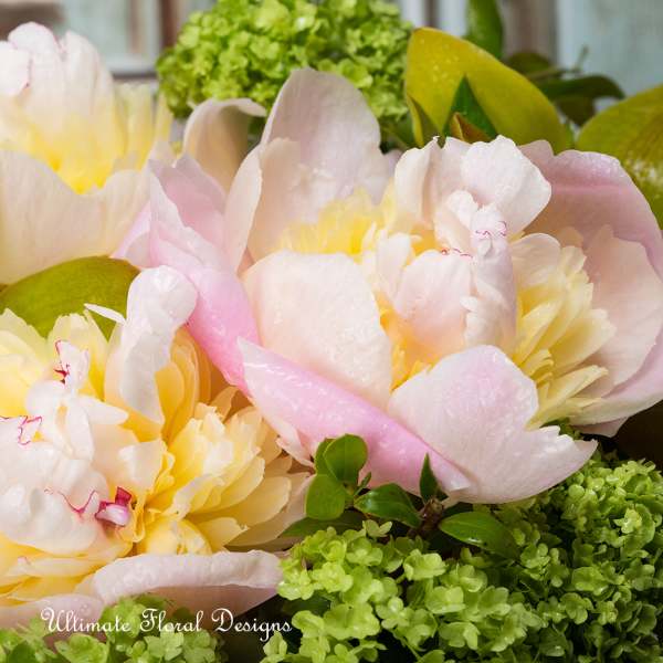Close-up bouquet of pale pink and yellow peonies with green filler