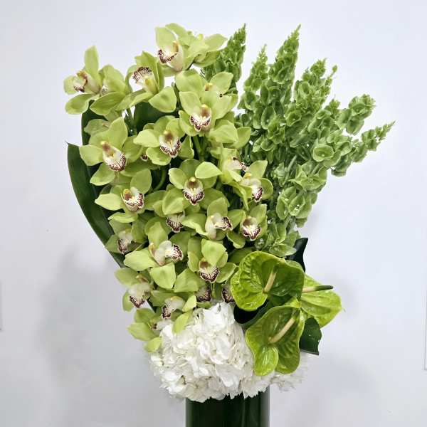 Green orchids and white hydrangea in a tall glass vase