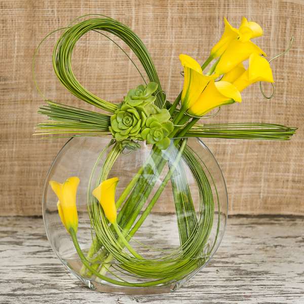 Yellow calla lilies and green succulents in a clear glass vase