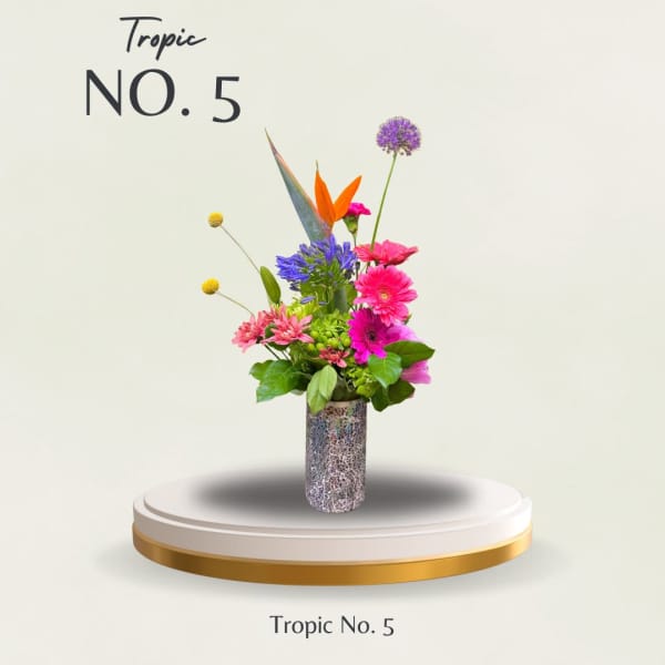 Tropic No. 5