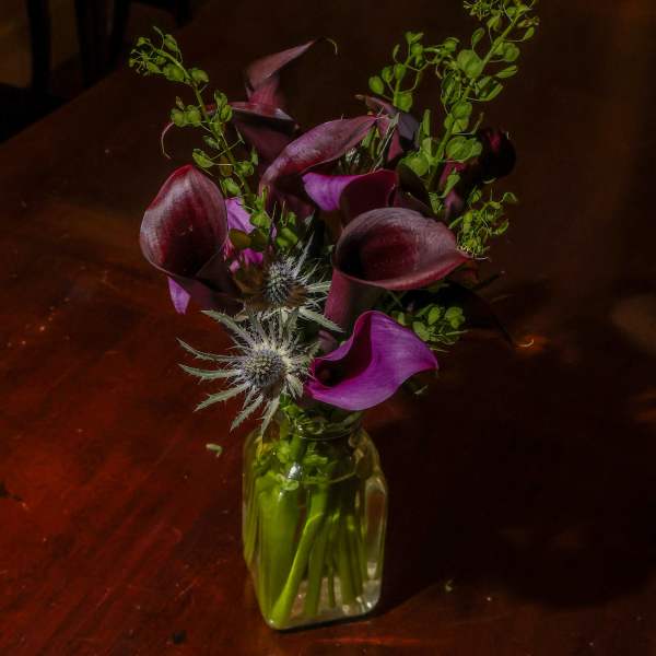 Calli Lillis in moonlight