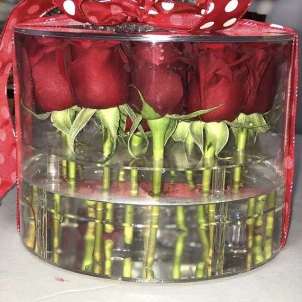 Red roses arranged in a clear round box with a red ribbon