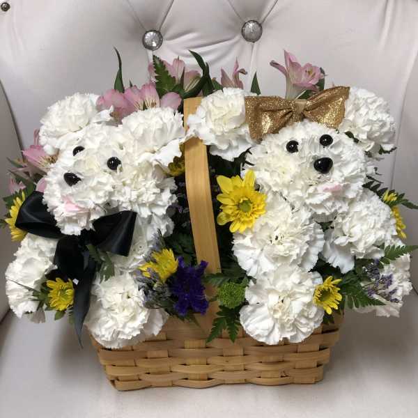 Paired puppies basket