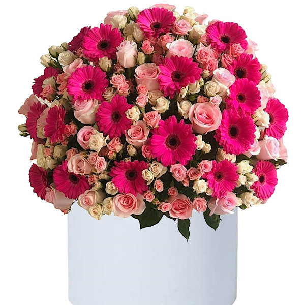 Hot Pink Gerbs and Roses Cylinder Box Arrangement