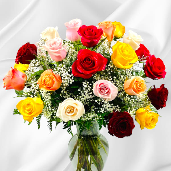 Assorted Colors (Picture Premium)