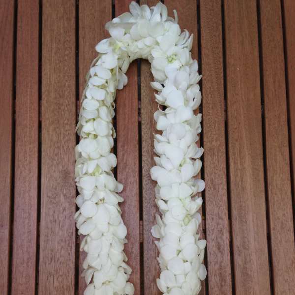White flower lei arranged in a loop on a wooden surface