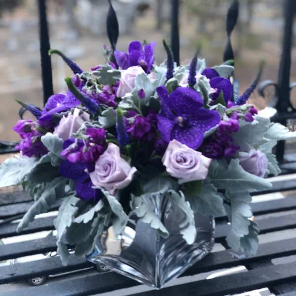 Lavender Velvet Cloud