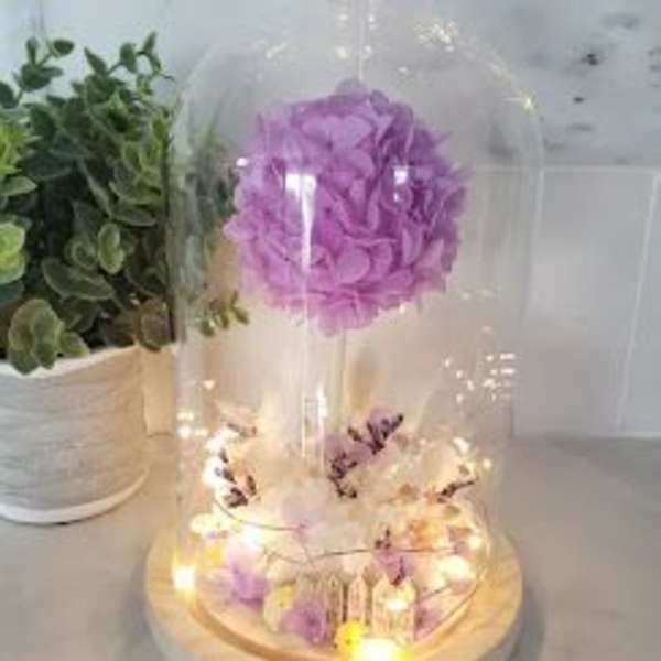 Preserved topiary lavender