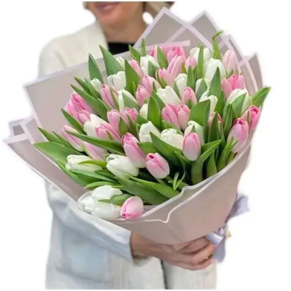 Bouquet of pink and white tulips wrapped in pale blush paper and held by a person.