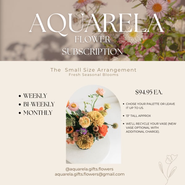 Aquarela Subscription Small Arrangement