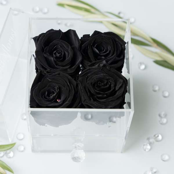 Four black roses in a clear square box