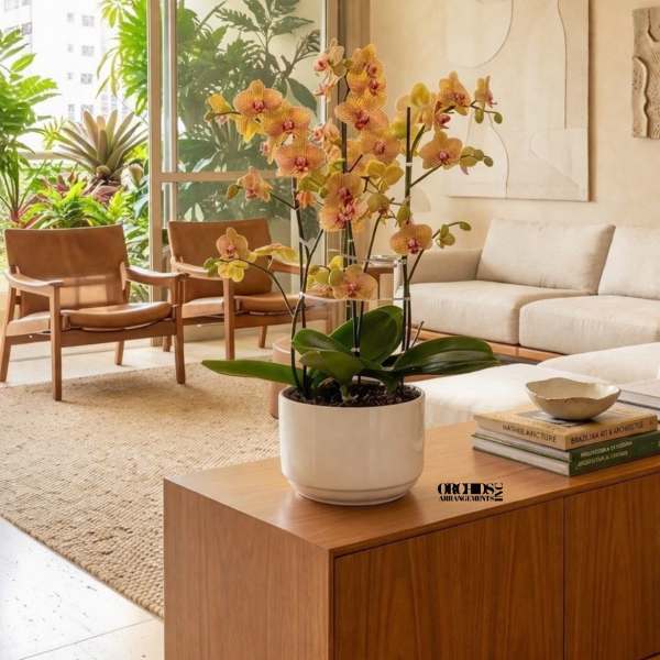 Peach Phalaenopsis Orchid – Luxury Contemporary Bowl