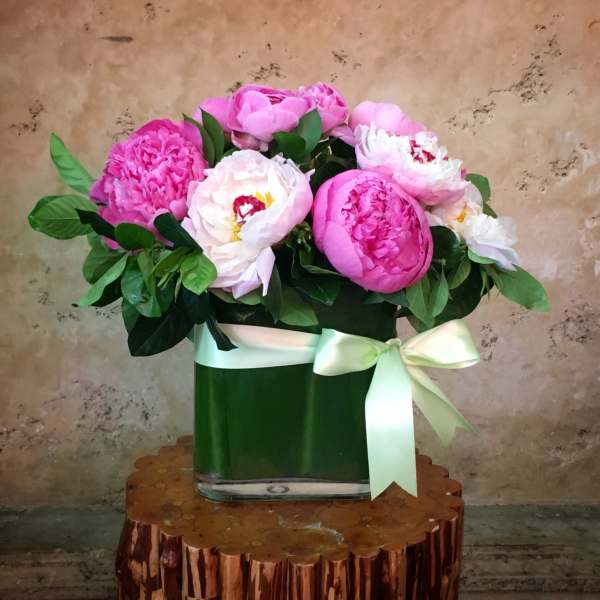 Pink peonies in a glass vase with a white ribbon
