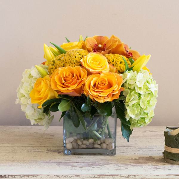 Orange and yellow roses with white hydrangeas in a square glass vase