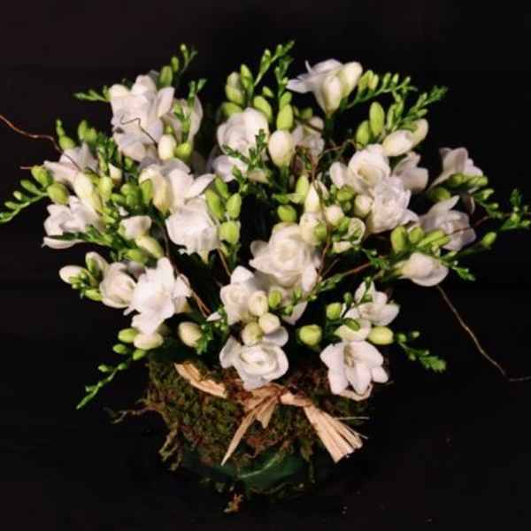 Freesia Bowl