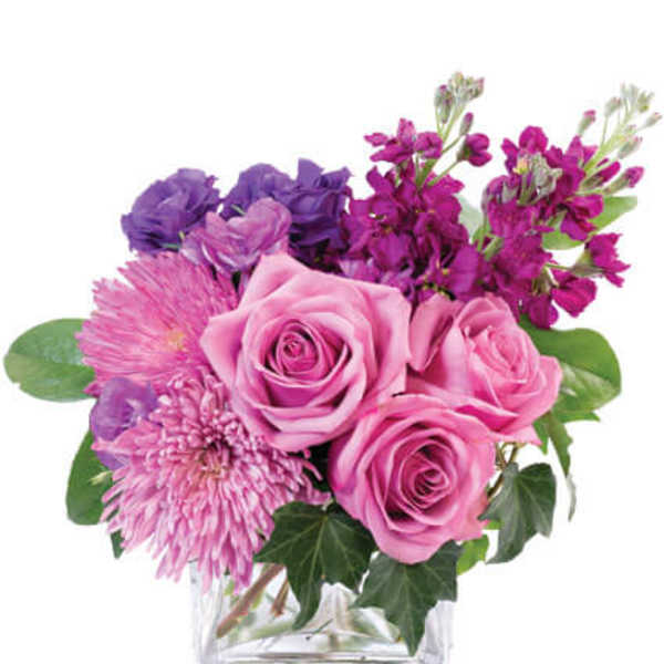 Purple Blooms of Bliss by Flower Shop Network