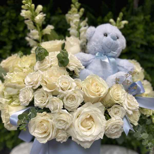 Cream rose bouquet with a blue teddy bear in a pastel box