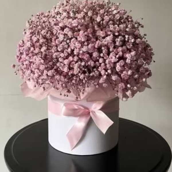 Pink babysbreath with box.