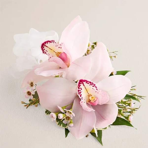Blush Cymbidium Luxe Orchid Corsage