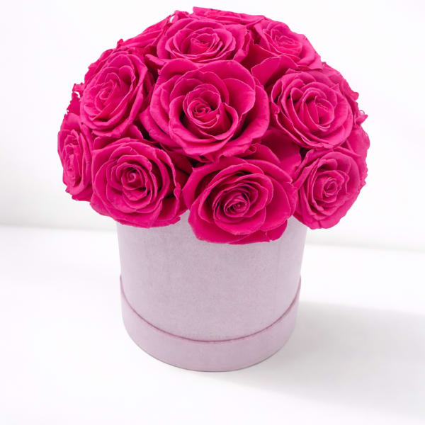 Forever Roses - Hot Pink