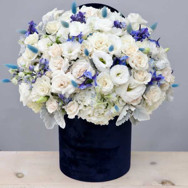 Round arrangement of white and cream flowers with blue accents in a tall navy velvet box