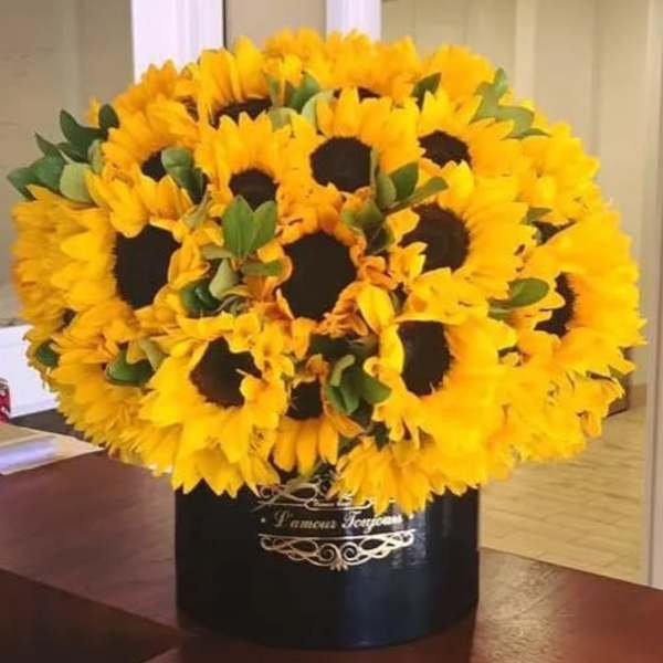 Sunflowers Signature Box