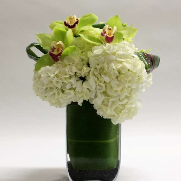 White hydrangeas and green orchids in a tall glass vase