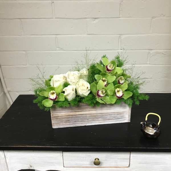 Attack of the Orchids!