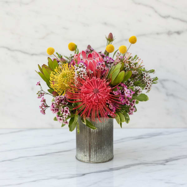 Seasonal Protea Garden