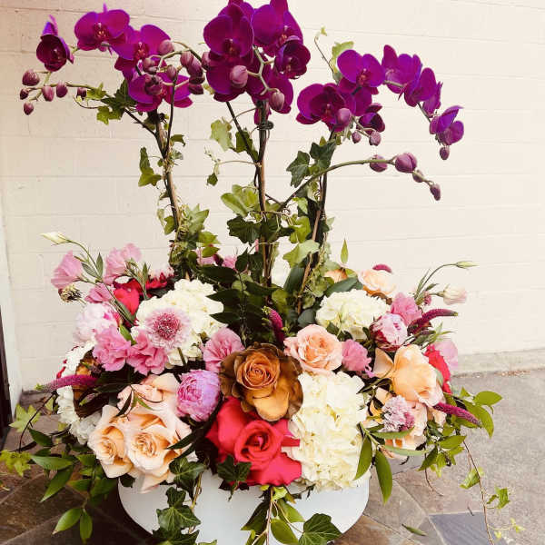 Large base with Orchid Plants